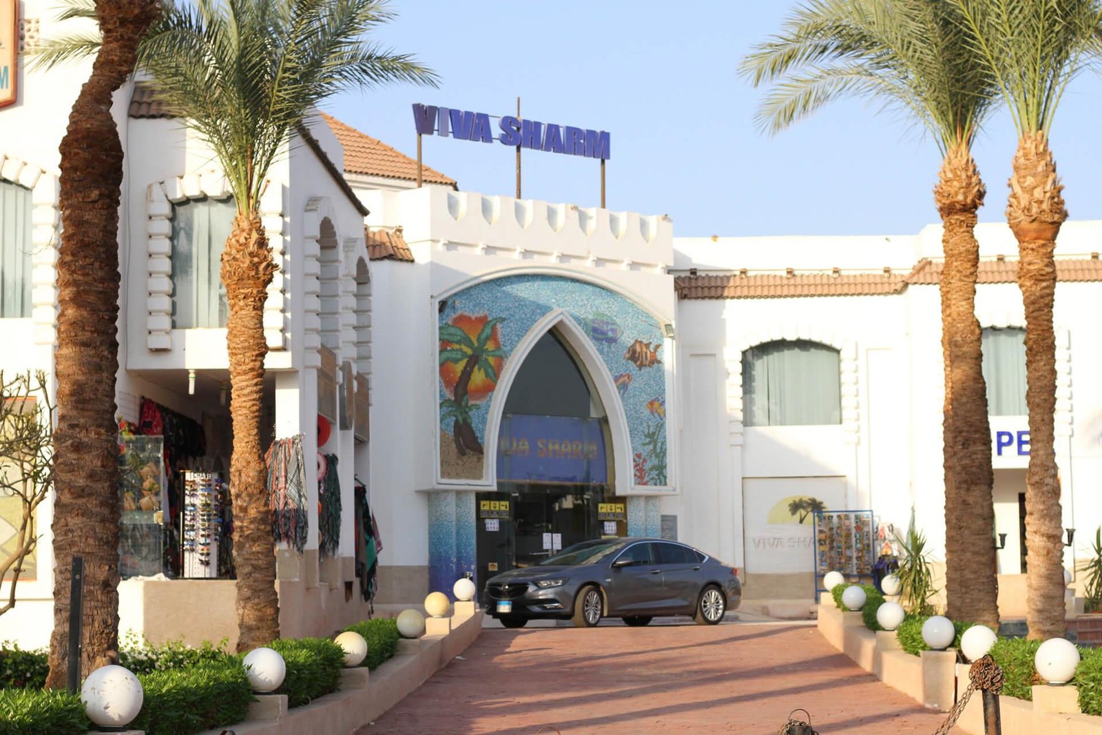 Viva Sharm Hotel5